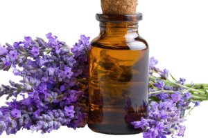 פרחים מרגיעים - גלה את סוד ההרגעה הטבעי עם פרחי באך